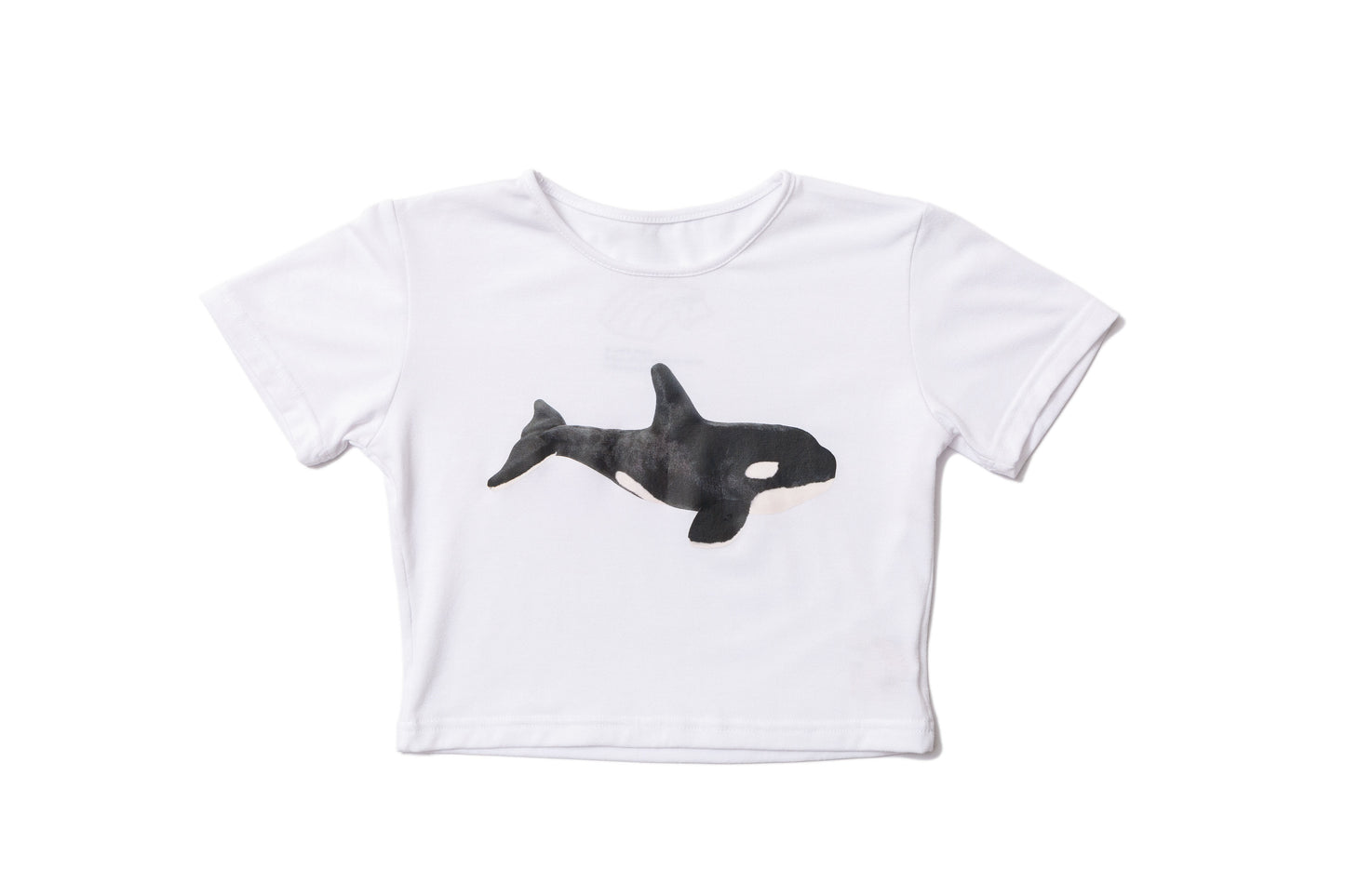 White whale crop top